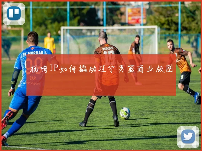 杨鸣IP如何撬动辽宁男篮商业版图