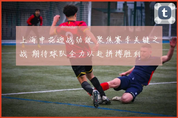 上海申花迎战劲敌 聚焦赛季关键之战 期待球队全力以赴拼搏胜利
