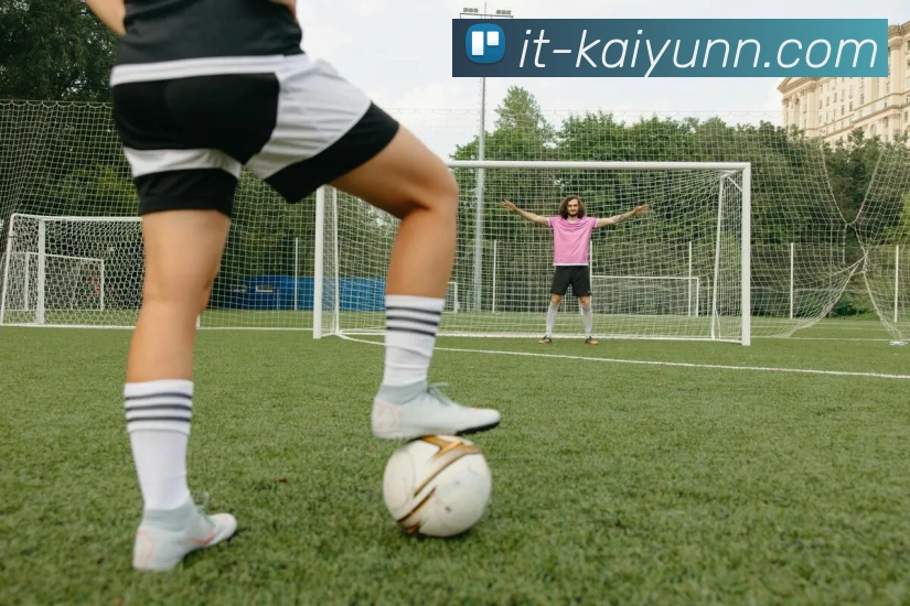 App Interface Preview